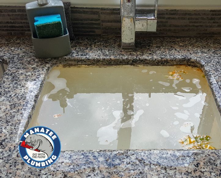 Surviving Brown Friday plumbing issues